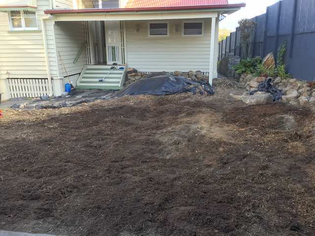 Camphor Laurel Tree Stump Complete on Price Page