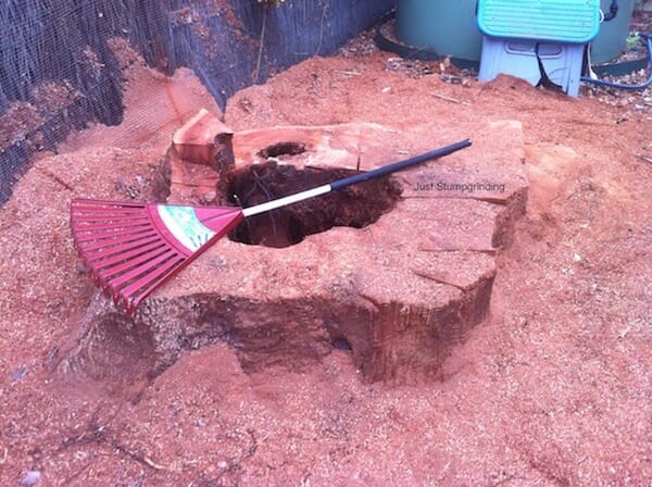 Tree Stump Grind in Sherwood