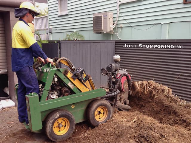 Bamboo removal using a tree stump grinder